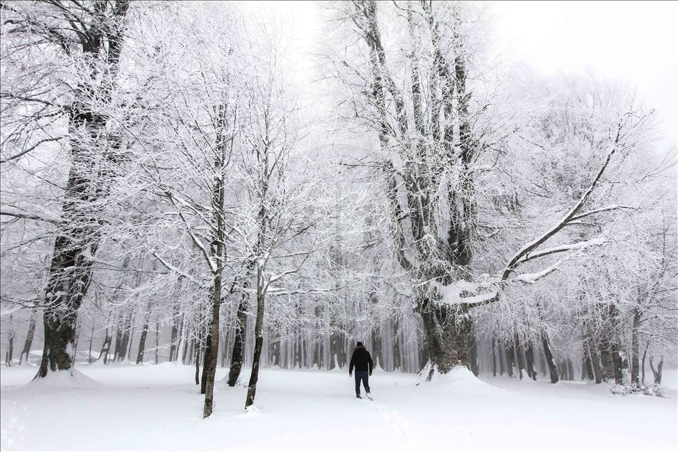 Winter in Domanic Mountains