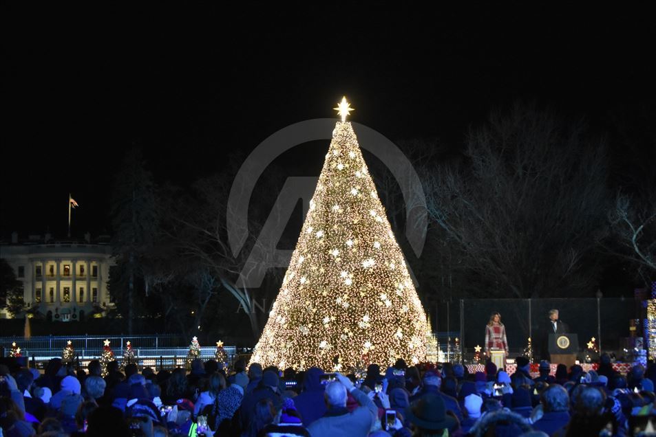 Así fue cómo el presidente Trump encendió el árbol de Navidad en Washington