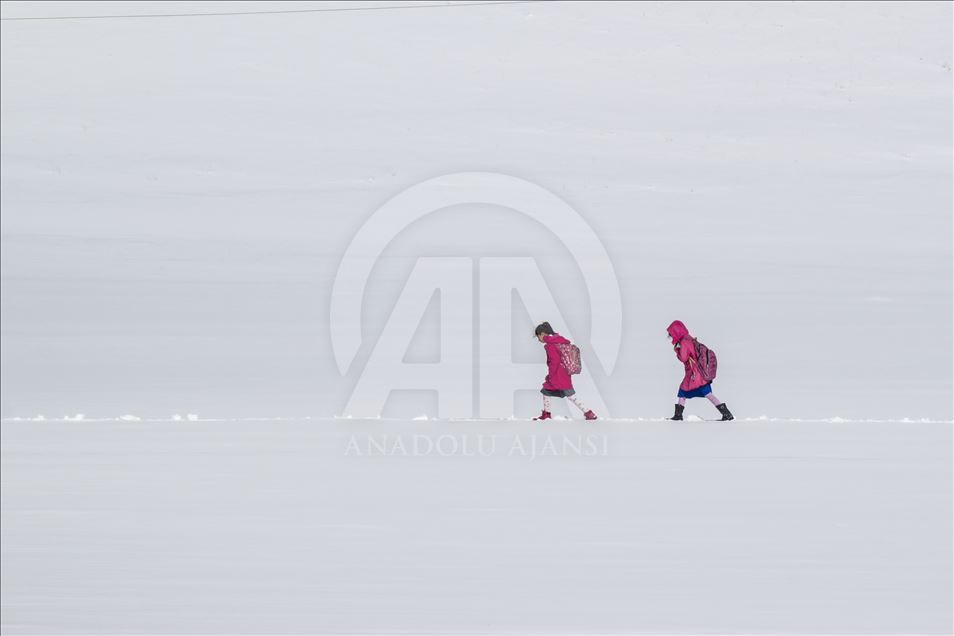 Anadolu Agency's Best Pictures of 2019 