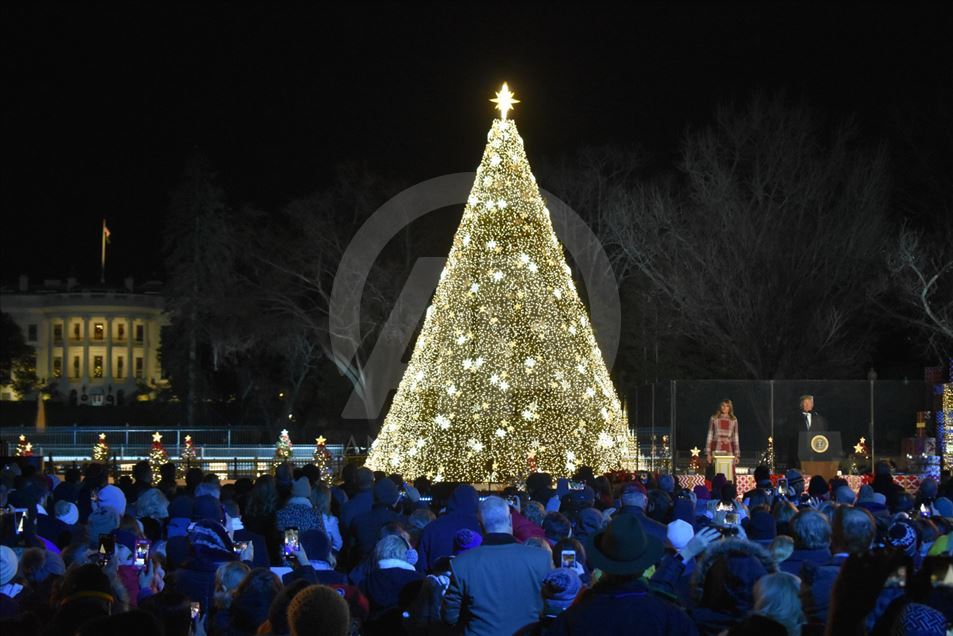 Así fue cómo el presidente Trump encendió el árbol de Navidad en Washington