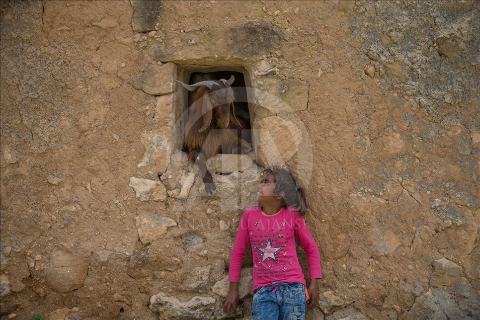 Anadolu Agency's Best Pictures of 2019 