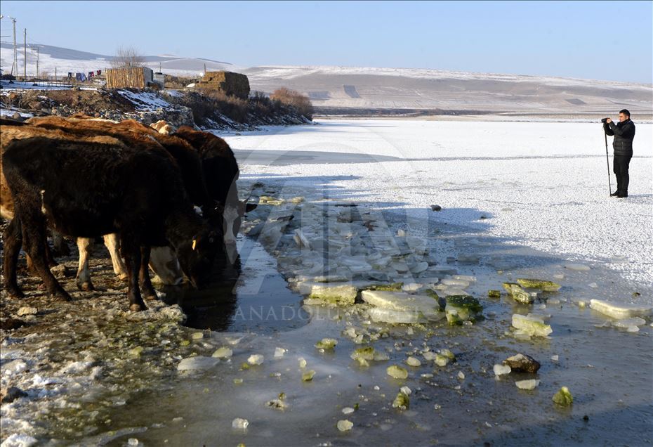 Ardahan'da Aktaş Gölü'nün yüzeyi buz tuttu