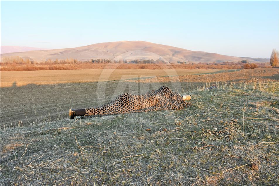 Teyrên Deşta Mûşê dikevin ber objektîfa mamoste Halîl Îbrahîm