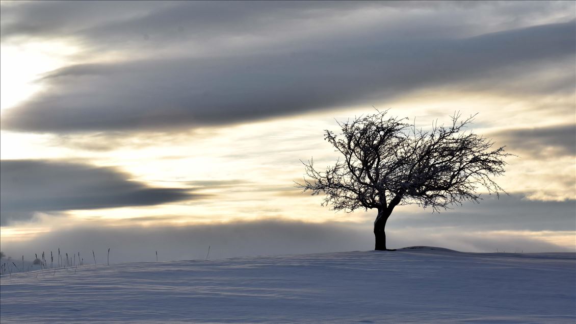 مناظر زیبای زمستان در استان موش ترکیه