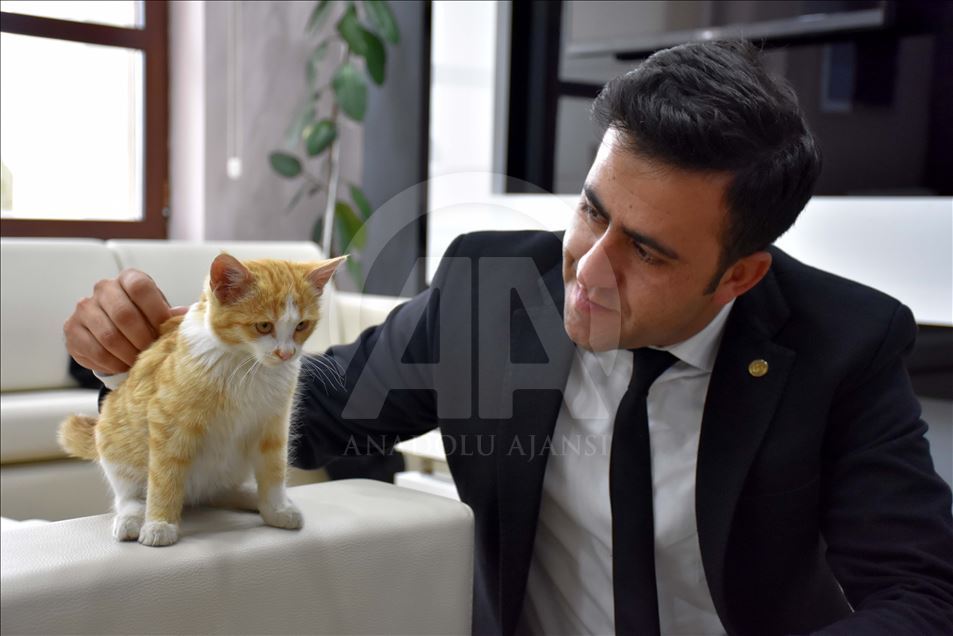 Bitkin bulunan kedi yavrusu rektörlüğün maskotu oldu
