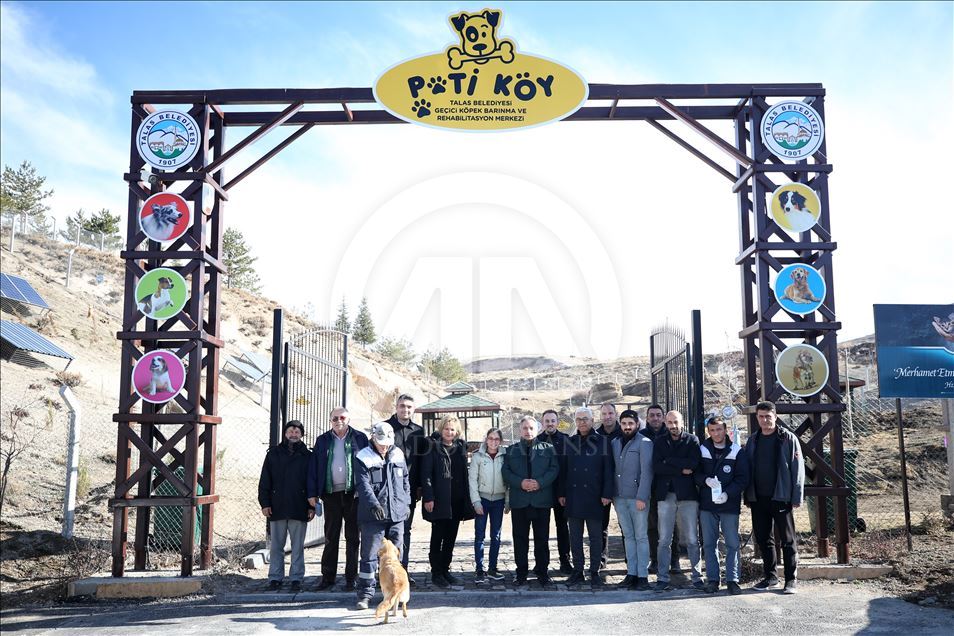 Hasta ve sahipsiz köpeklere kayadan oyma mağarada "yuva" konforu