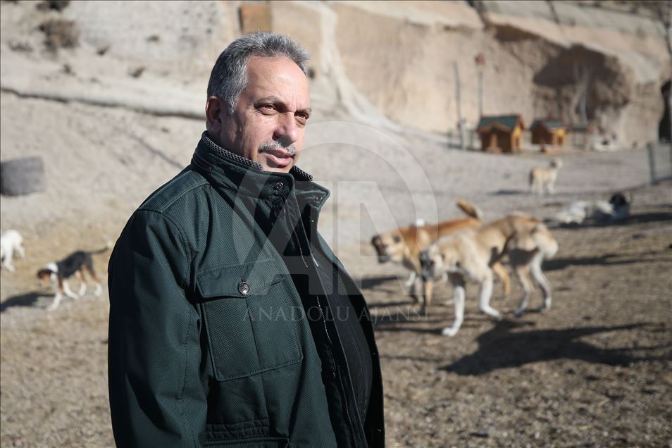 Hasta ve sahipsiz köpeklere kayadan oyma mağarada "yuva" konforu