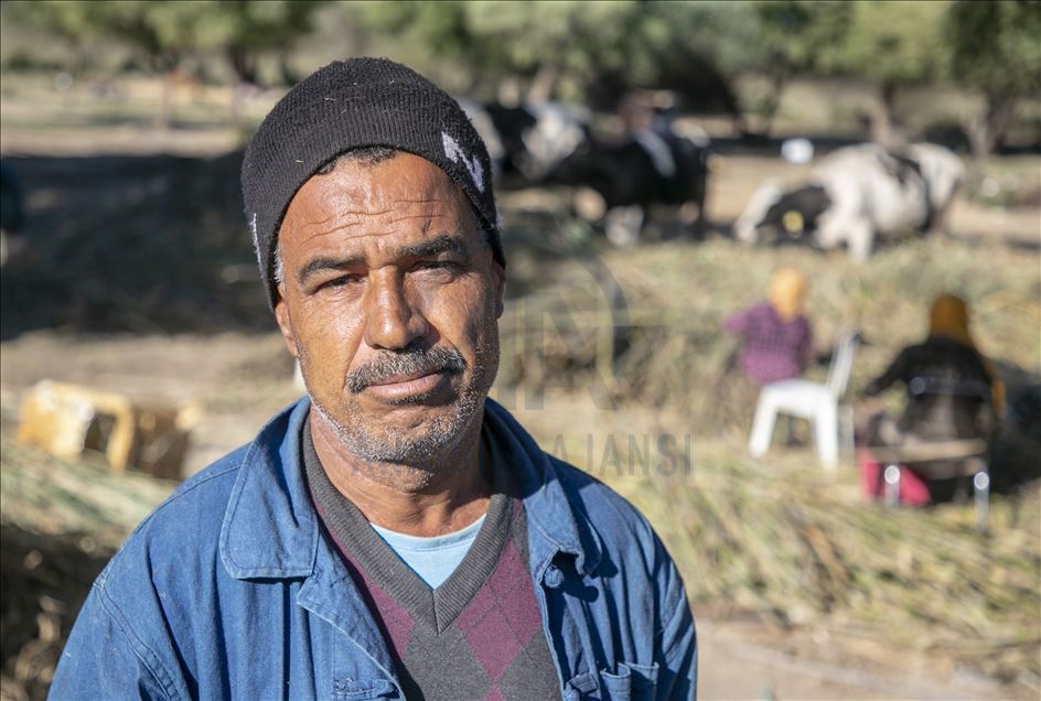 "نساء القصب" بالقيروان..معاناة تبحث عن حلول