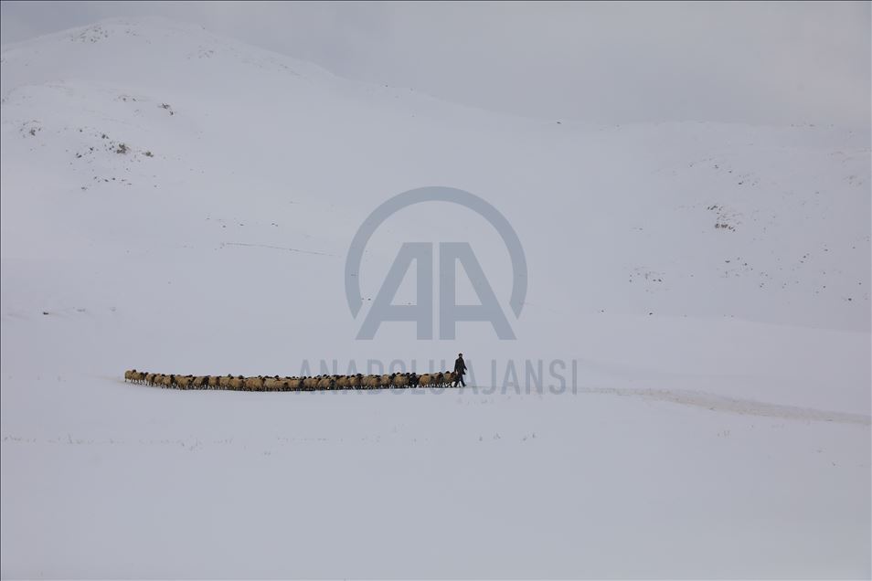 بەخێوکردنی مەڕوماڵات لە وەرزی زستاندا بە بەراورد لەگەڵ وەرزەکانی دیکە قورسترە