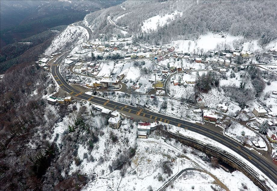 دوزجه.. چیای بۆڵو سپی پۆشی