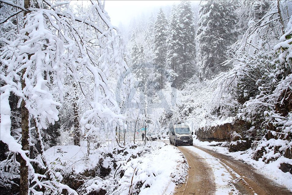 بارینی بەفر لە ترابزۆن