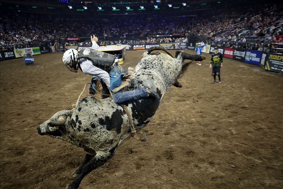 New York'ta rodeo heyecanı