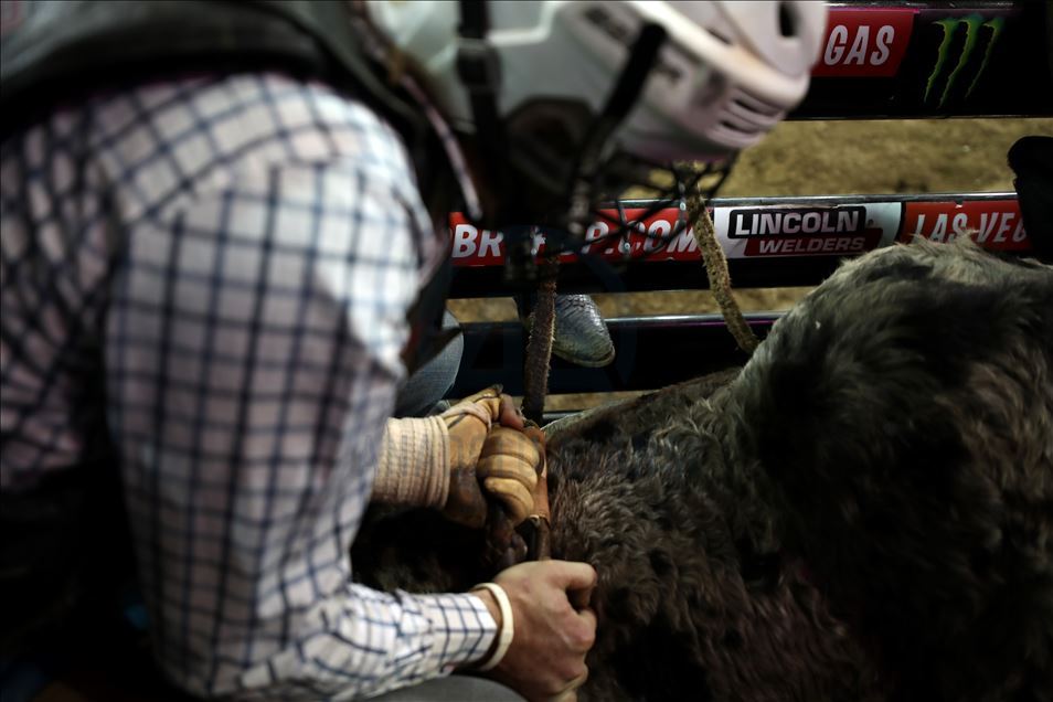 New York'ta rodeo heyecanı