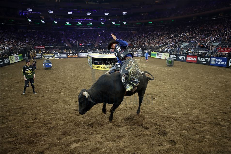 New York'ta rodeo heyecanı