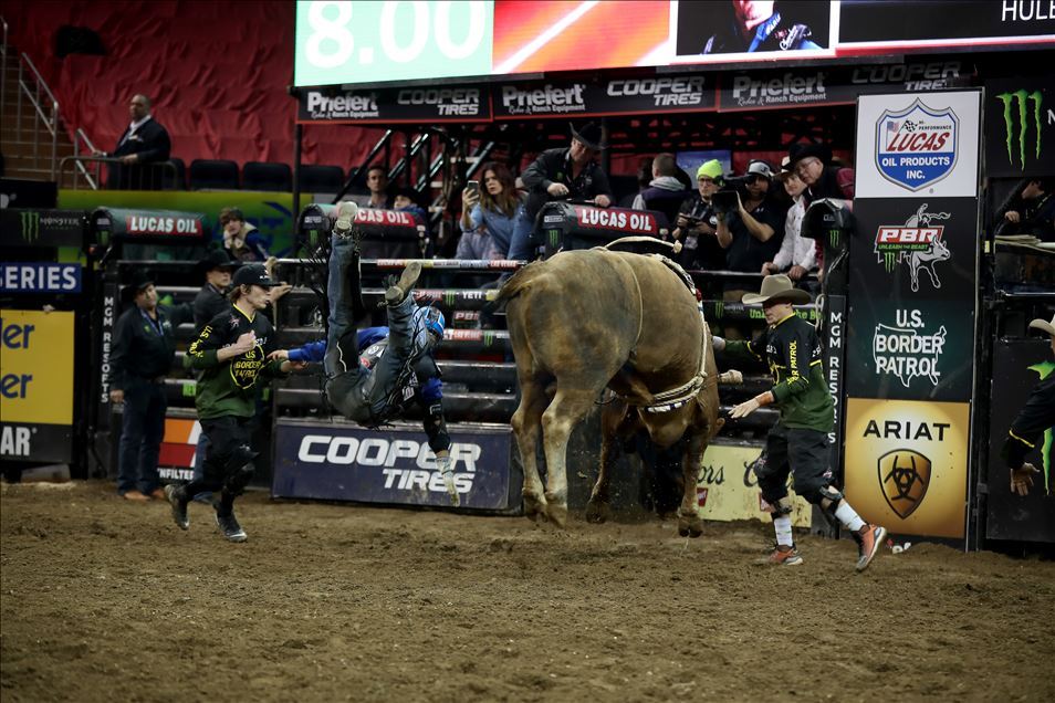 New York'ta rodeo heyecanı