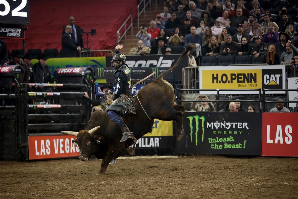 New York'ta rodeo heyecanı