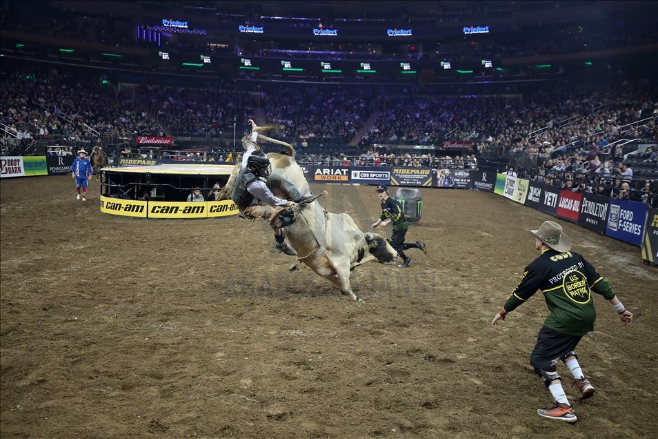 New York'ta rodeo heyecanı