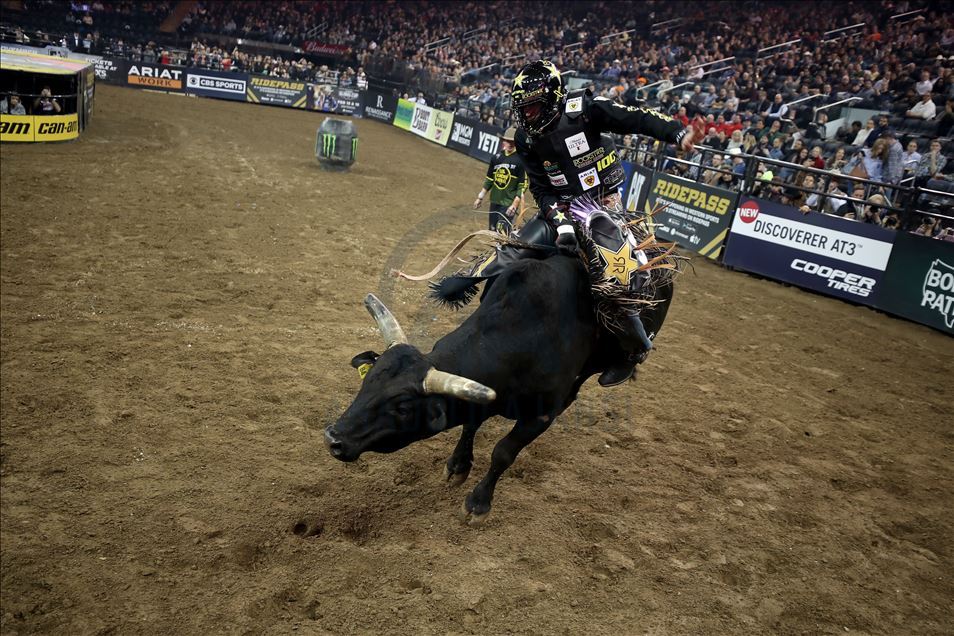 New York'ta rodeo heyecanı