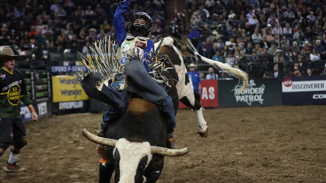 New York'ta rodeo heyecanı