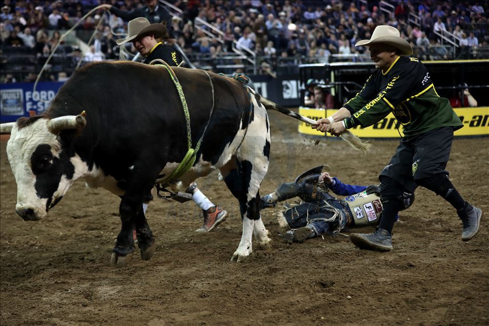 New York'ta rodeo heyecanı