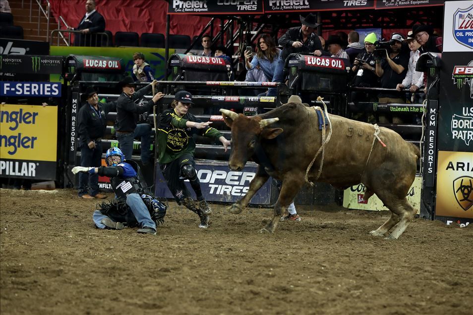 New York'ta rodeo heyecanı