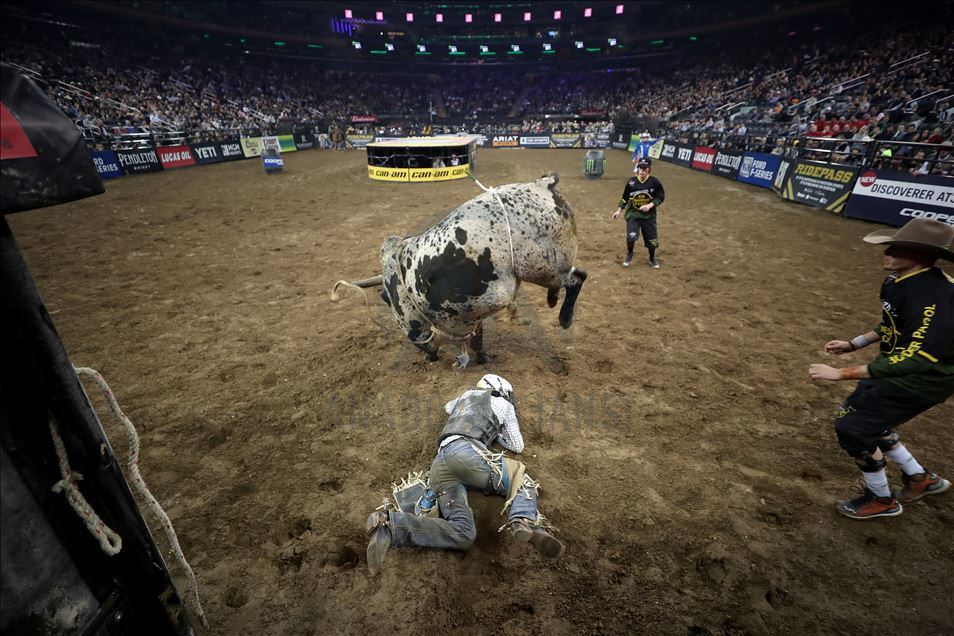 New York'ta rodeo heyecanı