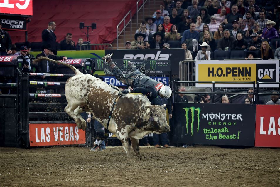 New York'ta rodeo heyecanı