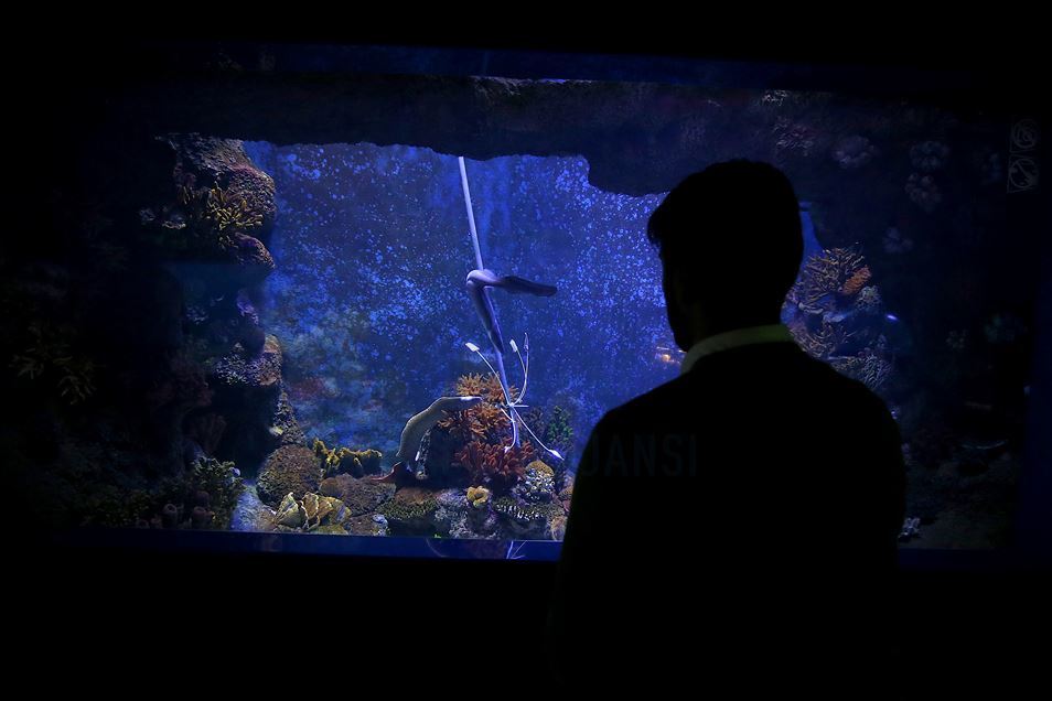 Divers handfeed fish at ETI Underwater World in Turkey