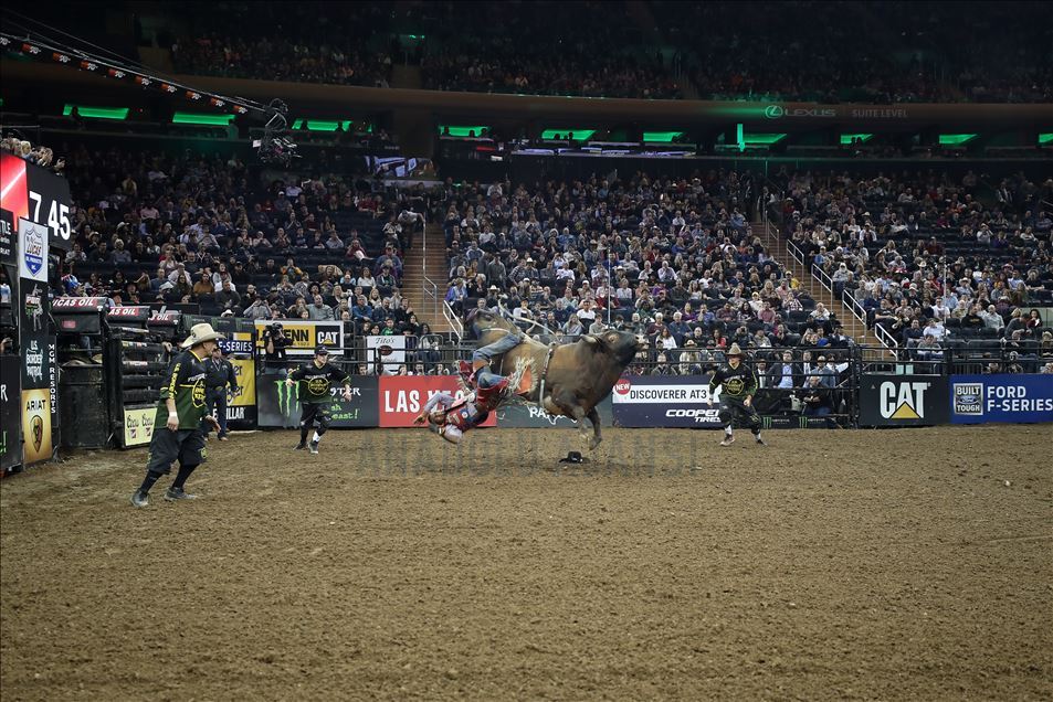 New York'ta rodeo heyecanı