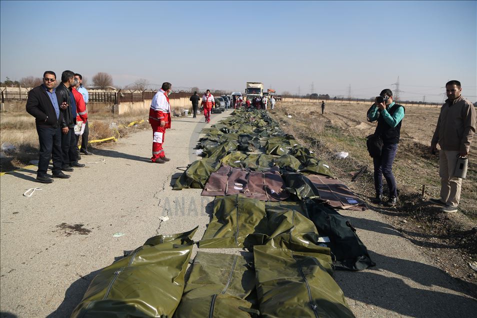 İran'da düşen yolcu uçağındaki 176 kişi hayatını kaybetti
