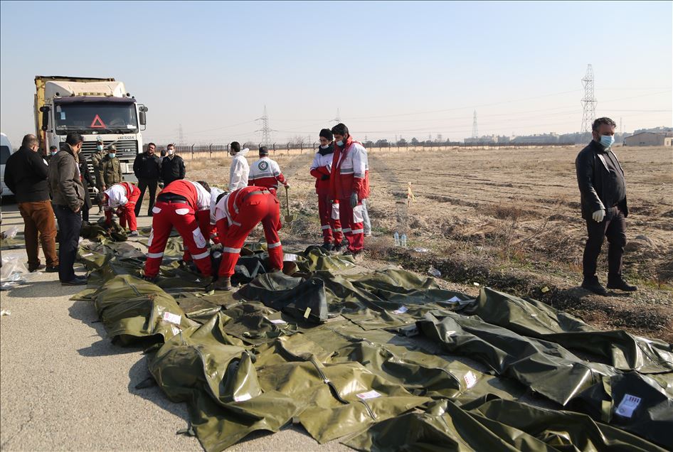 İran'da düşen yolcu uçağındaki 176 kişi hayatını kaybetti
