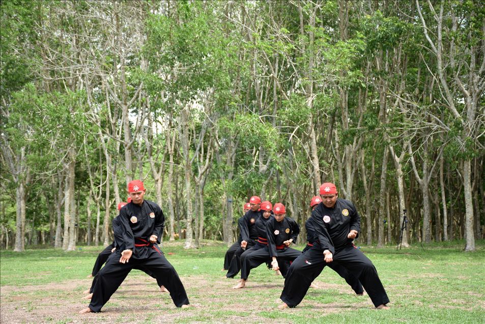 Pencak silat Indonesia untuk dunia