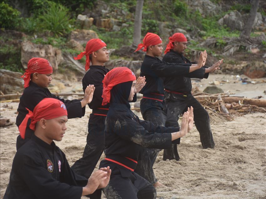 Pencak silat Indonesia untuk dunia