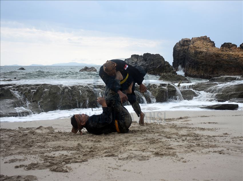 Pencak silat Indonesia untuk dunia