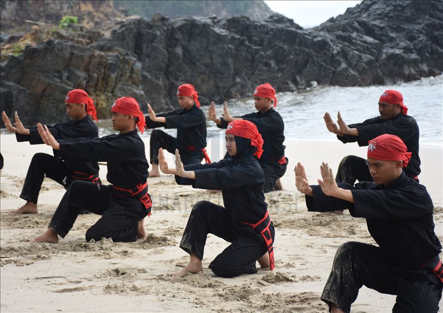 Pencak silat Indonesia untuk dunia