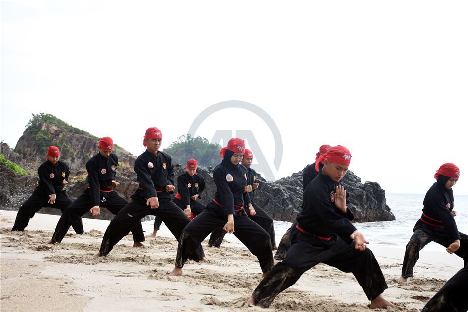 Pencak silat Indonesia untuk dunia