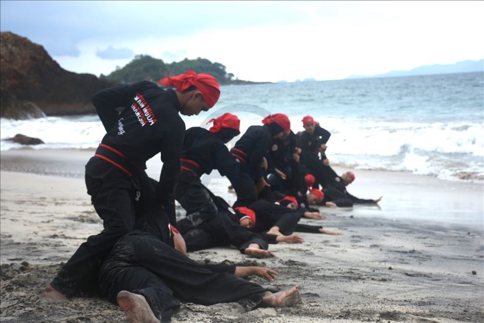 Pencak silat Indonesia untuk dunia