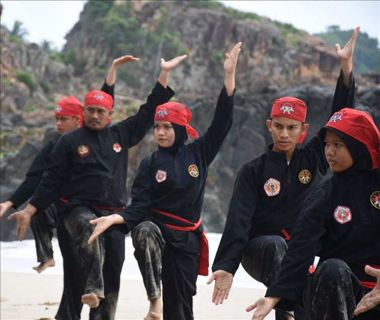 Pencak silat Indonesia untuk dunia