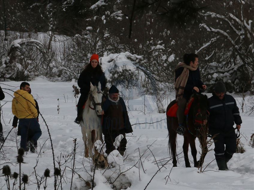 Зимний отдых в Турции: провинция Болу
