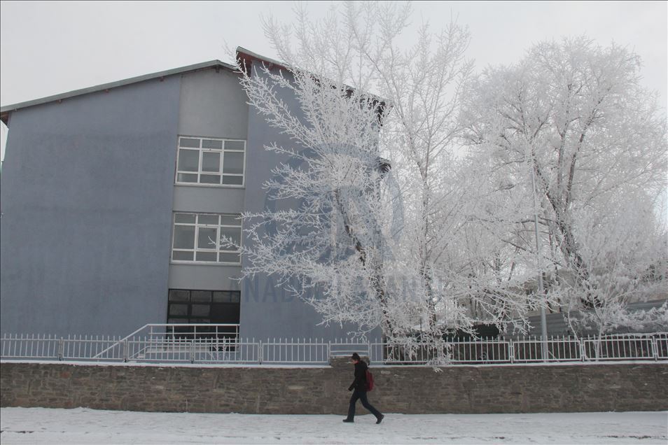 Soğuk hava Doğu Anadolu'da etkili oluyor