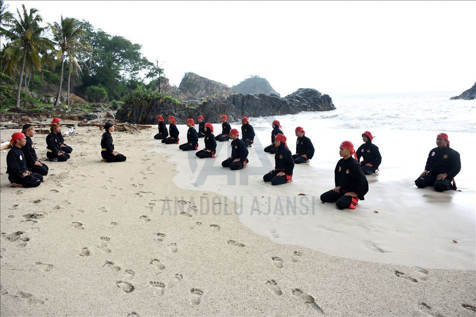 Pencak silat Indonesia untuk dunia