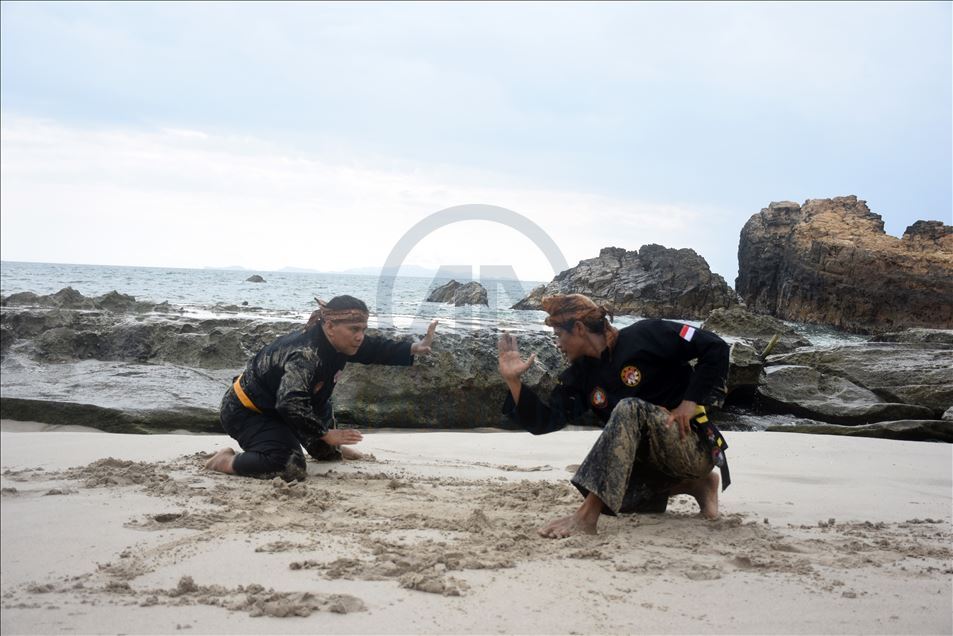 Pencak silat Indonesia untuk dunia