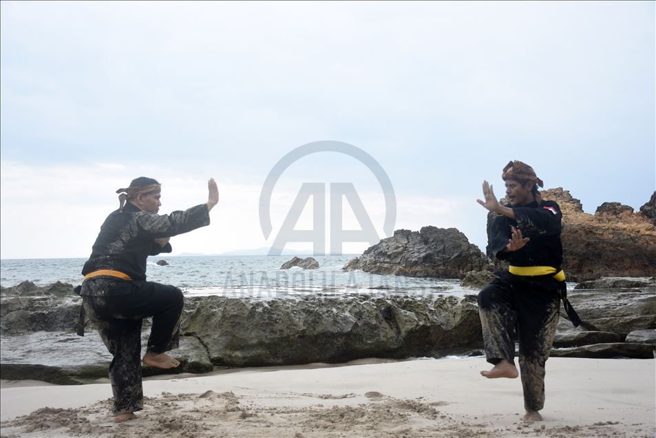 Pencak silat Indonesia untuk dunia