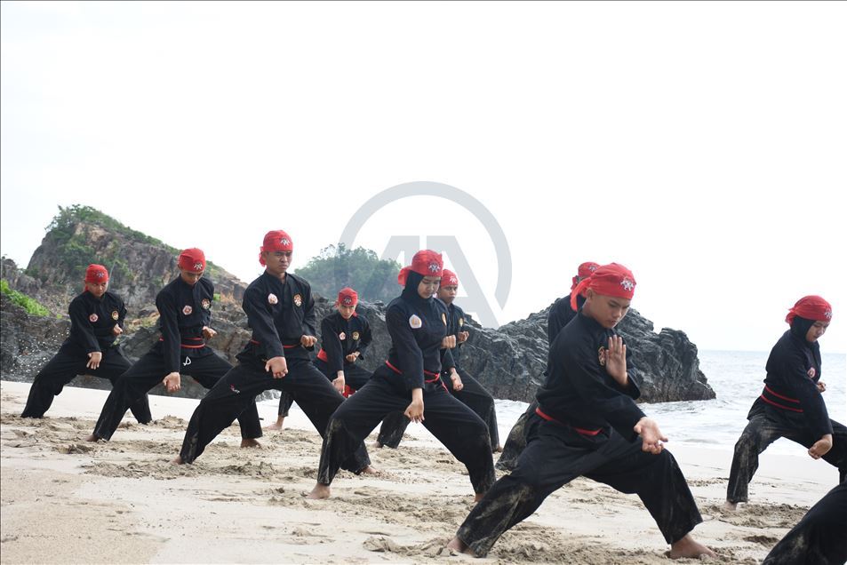 Pencak silat Indonesia untuk dunia