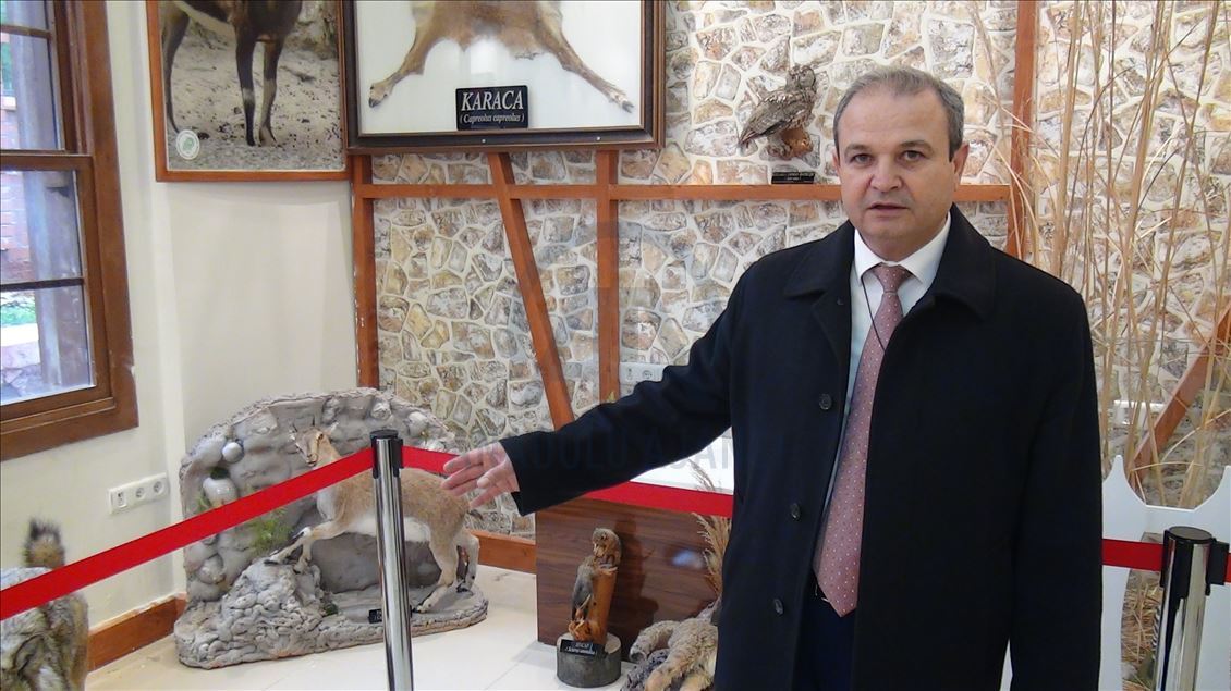 مركز للتحنيط في تركيا.. "متحف" الحياة البرية
