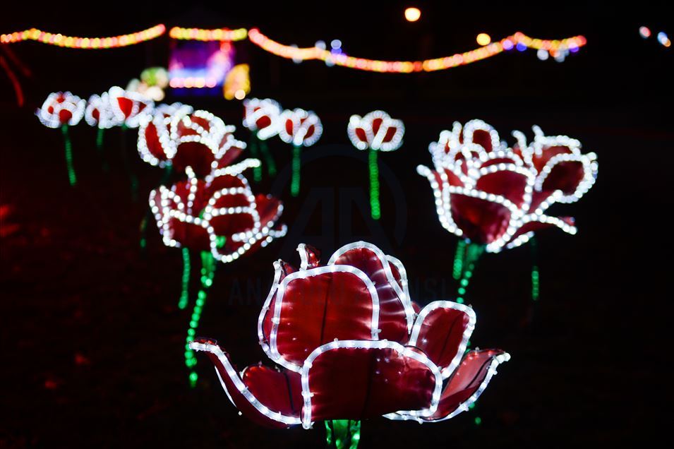 China's festival of light for the first time in Poland