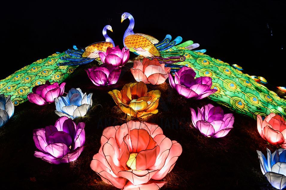China's festival of light for the first time in Poland