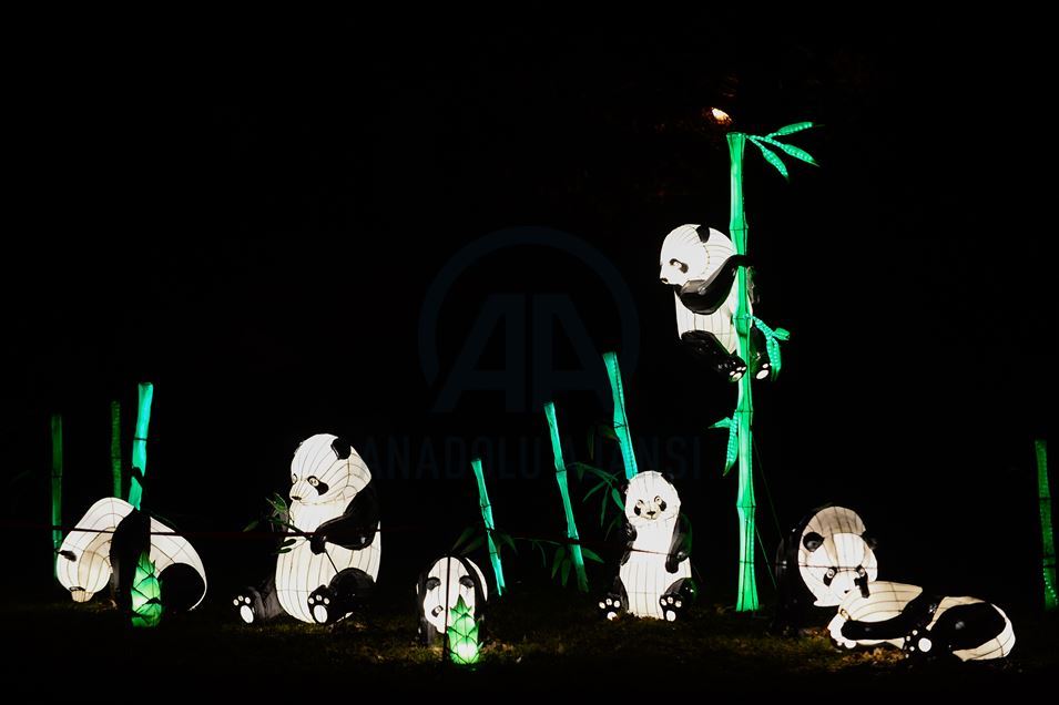 China's festival of light for the first time in Poland
