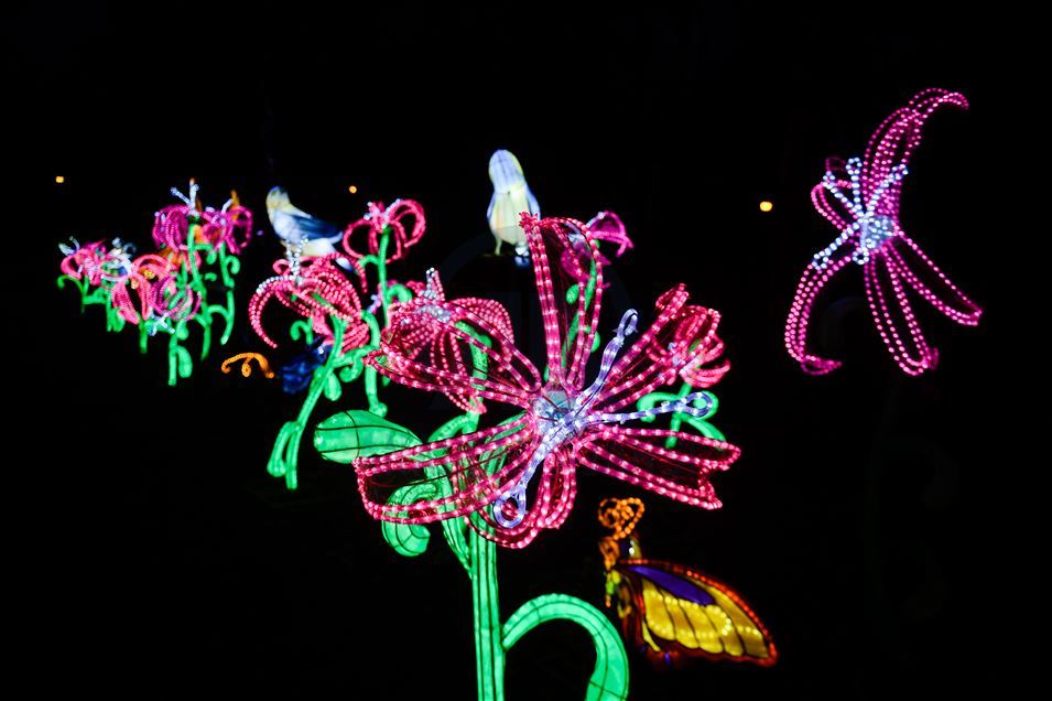 China's festival of light for the first time in Poland