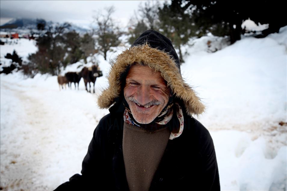 Pastoreo de ovejas en temporada de invierno en Turquía
